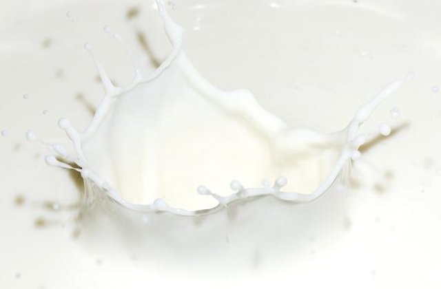 Lapte de magarita la 100 de lei litrul si salata hidroponica ce creste fara pamant, la un targ agricol din Alba Iulia