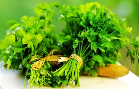  Top  Top 10 afectiuni tratate cu ajutorul patrunjelului