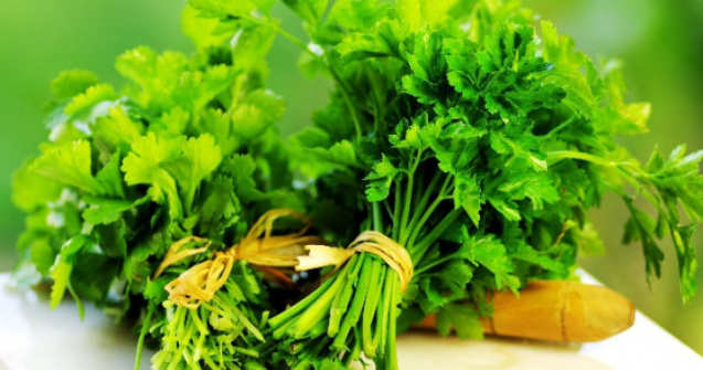  Top  Top 10 afectiuni tratate cu ajutorul patrunjelului