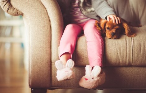 Care sunt cele mai potrivite animale de companie pentru copii?
