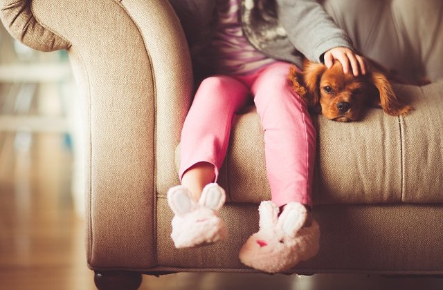 Care sunt cele mai potrivite animale de companie pentru copii?