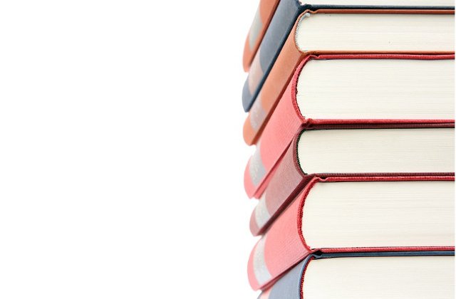 Profesori din 25 de tari s-au adunat in Viena pentru a dezvolta un sistem educational european mai eficient