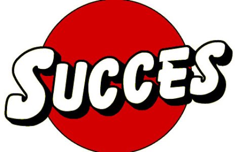  Top  10 pasi posibili in dobandirea reusitei