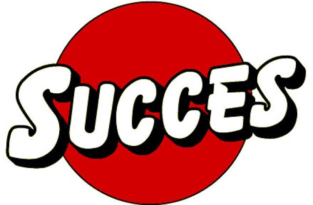 10 pasi posibili in dobandirea reusitei