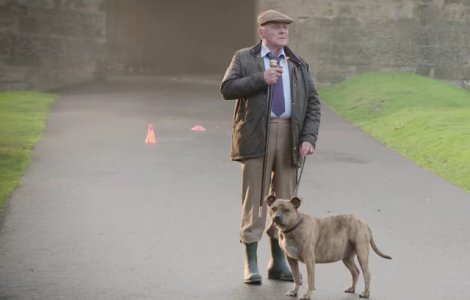  Video  Povestea EMOTIONANTA a cainelui epileptic care va juca alaturi de Anthony Hopkins