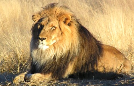  Top  Top 10 cele mai mari zone protejate din lume