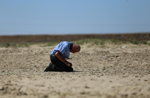 Filmul Caini, elogiat in presa franceza: Un neo-western care-ti taie rasuflarea