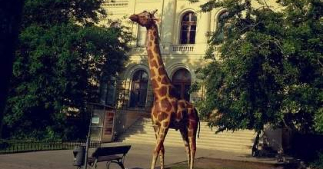 Persoanele cu nume de animal intra marti gratuit la Antipa