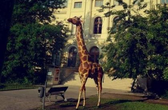 Persoanele cu nume de animal intra marti gratuit la Antipa