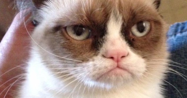 Grumpy Cat, celebra pisica morocanoasa, are statuie de ceara la Madame Tussauds
