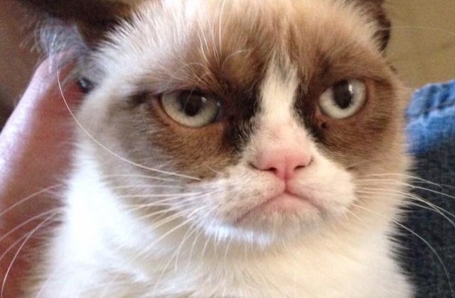 Grumpy Cat, celebra pisica morocanoasa, are statuie de ceara la Madame Tussauds