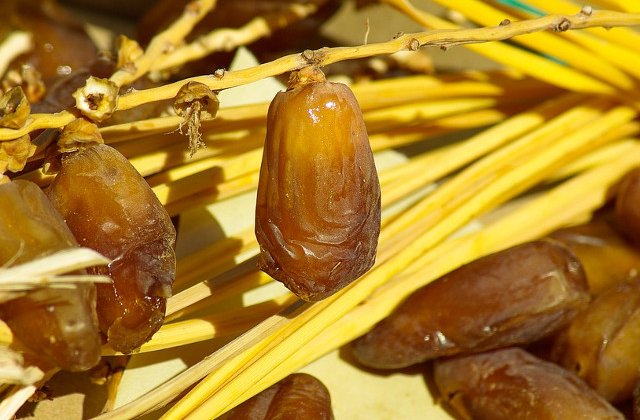 Alimentul-minune pe care trebuie sa-l incluzi in dieta! Uite cate boli vindeca!