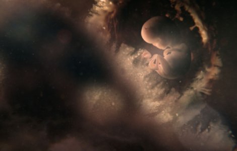 BBC Earth prezinta seria documentara "Noua luni definitorii"