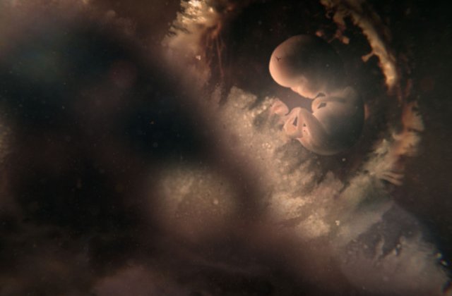 BBC Earth prezinta seria documentara "Noua luni definitorii"