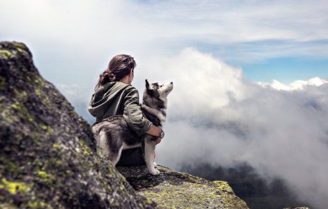 De ce este cainele considerat cel mai bun prieten al omului? Cercetatorii au raspunsul