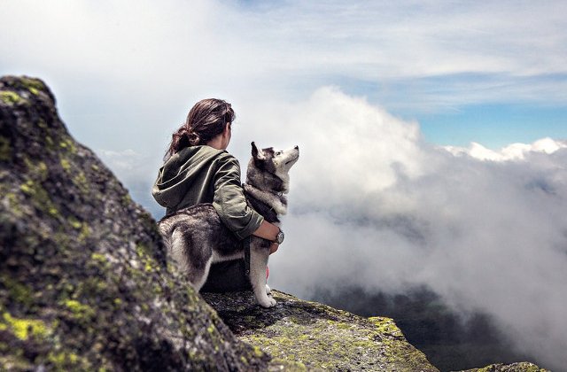 De ce este cainele considerat cel mai bun prieten al omului? Cercetatorii au raspunsul