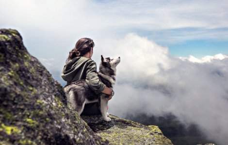 De ce este cainele considerat cel mai bun prieten al omului? Cercetatorii au raspunsul