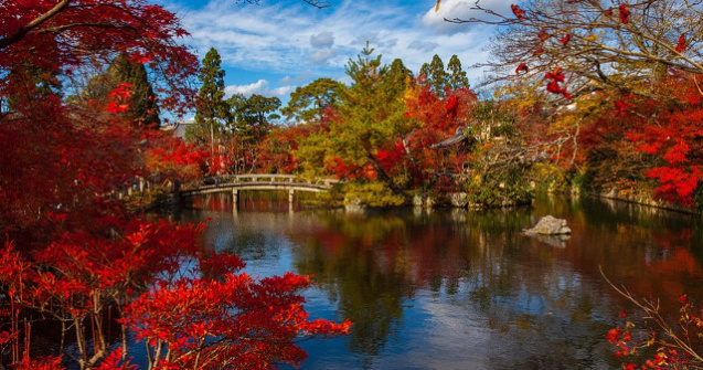  Top  Splendoarea celui mai frumos anotimp! Cum arata TOAMNA in lume