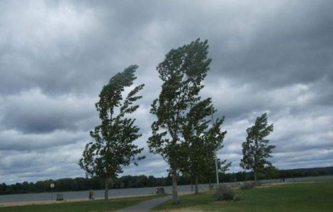 Informare meteo de ploi, intensificari ale vantului si preciptatii