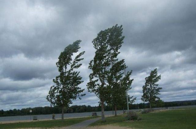 Informare meteo  de ploi, intensificari ale vantului si preciptatii