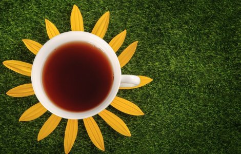  Top  Beneficiile NESTIUTE ale plantei care poate distruge celulele canceroase in doar 48 de ore