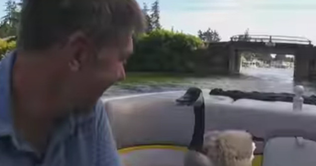 Surpriza de care a avut parte un barbat, dupa ce a salvat o gasca