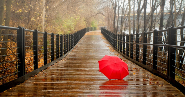  Top  10 idei pentru zile ploioase