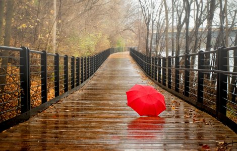  Top  10 idei pentru zile ploioase