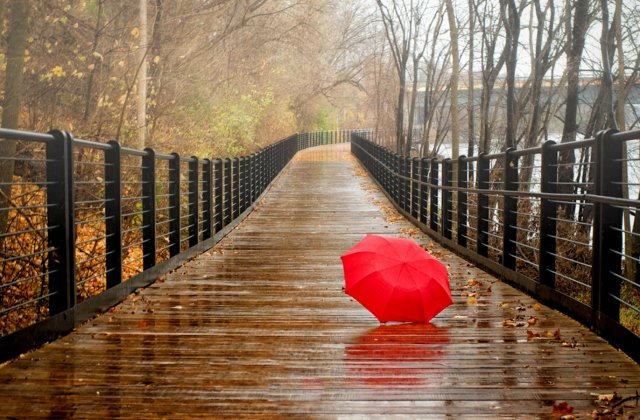 10 idei pentru zile ploioase