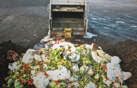 Fara mancare aruncata! Parlamentul a luat decizia