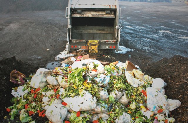 Fara mancare aruncata! Parlamentul a luat decizia