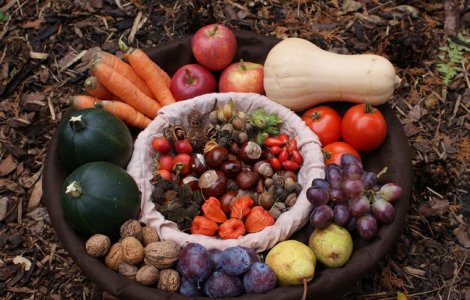 Beneficiile fructelor si legumelor de toamna