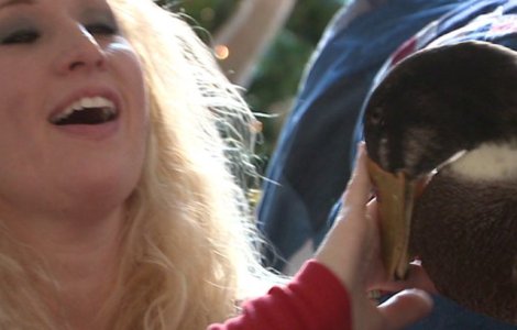 Cum a ajuns un ratoi cel mai bun prieten al unei femei