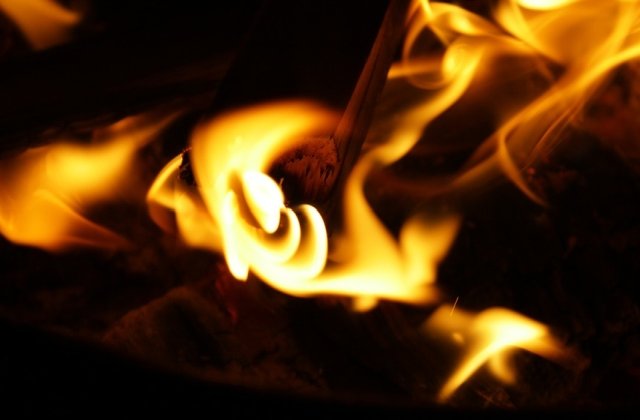 Explozii simultane au zguduit un parc japonez. Autoritatile sustin ca au fost provocate de un veteran sinucigas