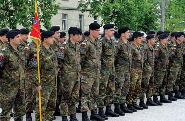 Ziua Armatei Romaniei, sarbatorita in Capitala printr-o serie de ceremonii