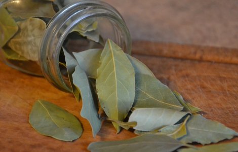 Cum poti elimina stresul cu ajutorul frunzelor de dafin