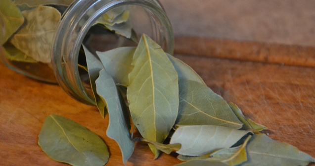 Cum poti elimina stresul cu ajutorul frunzelor de dafin