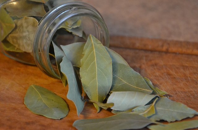 Cum poti elimina stresul cu ajutorul frunzelor de dafin