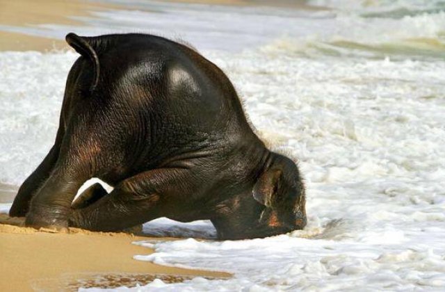 10 modalitati pentru a trece peste o zi grea