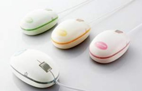 Viata mouse-ului va lua sfarsit in cel mult cinci ani