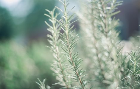 Condimentul care te ajuta sa-ti imbunatatesti cu pana la 75% memoria