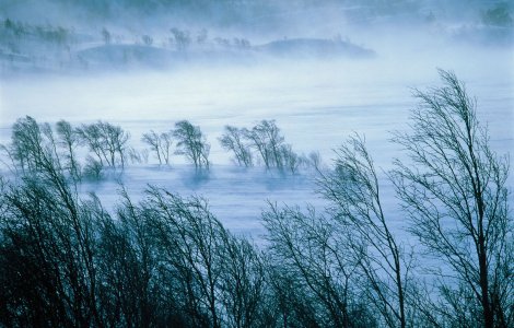 Informare meteo de vant puternic si ninsori la munte, valabila de sambata dimineata pana luni noapte