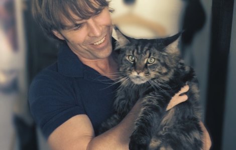  Top  Te vor face fericit! 7 lucruri pe care le poti invata de la pisici