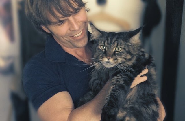 Secretele care te vor face fericit si sanatos! Cele 7 lucruri pe care le poti invata de la pisici