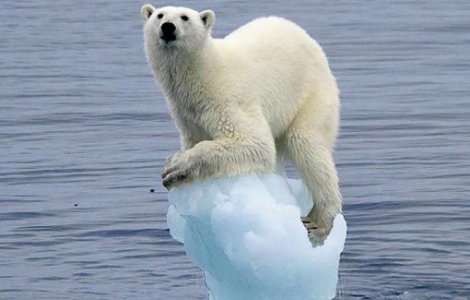  Top  10 lucruri pe care le poti face pentru a reduce incalzirea globala