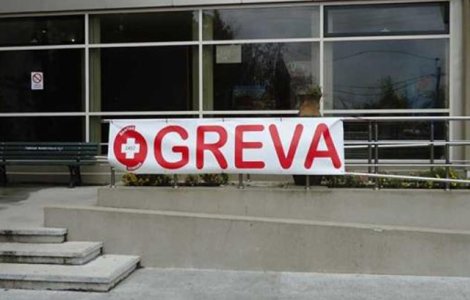 Prim-vicepresedintele Sanitas: Greva generala continua