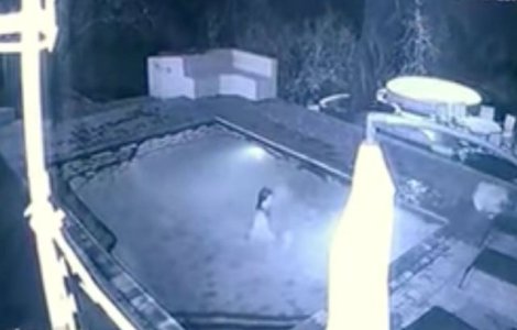 Momentul terifiant in care un crocodil a atacat un cuplu in piscina