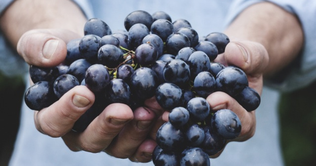  Top  7 mituri despre mancare organica