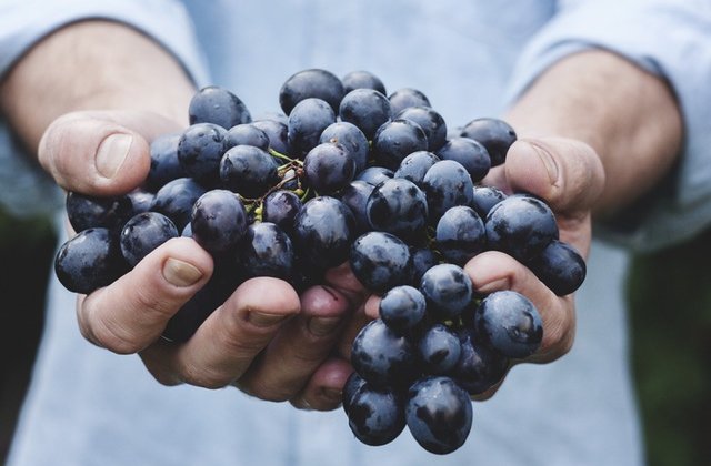 Adevarul murdar despre mancarea organica: 7 lucruri pe care nu ti le-a spus nimeni pana acum