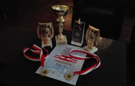 Teatrul Stela Popescu a castigat Trofeul Grand Prix